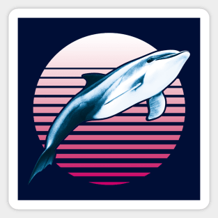 Vintage Dolphin Sticker